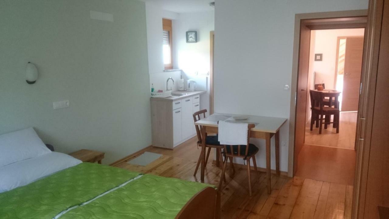 Apartma Smid Apartment Škofja Loka Екстериор снимка